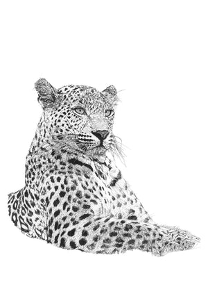 'The Leopard' - Original