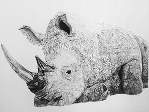'The Rhino' - Original