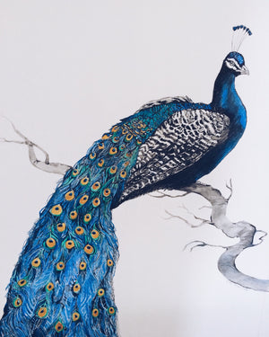 'The Peacock' - Original